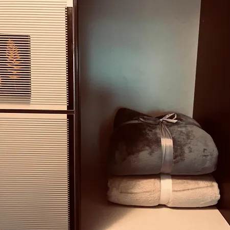 Panoramic Loft-large Terrace-free Garage * براشوف