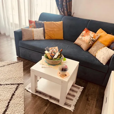 Panoramic Loft-large Terrace-free Garage * Brasov