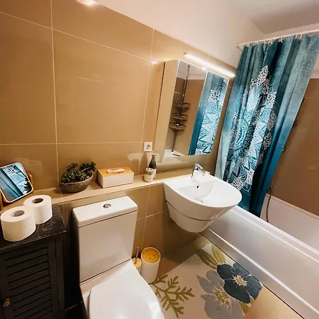 Panoramic Loft-large Terrace-free Garage Apartment Brasov